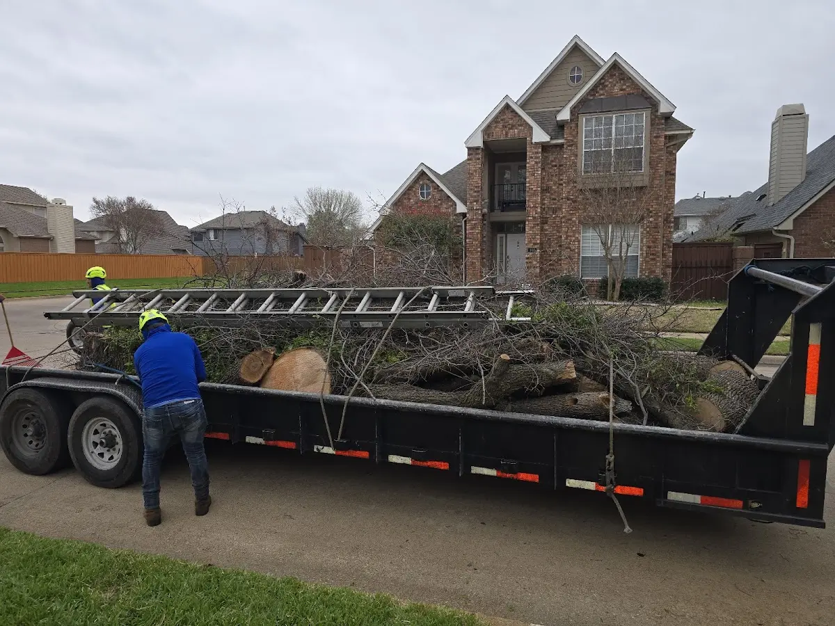 Expert Tree Fertilization with proper safety equipment in Chase